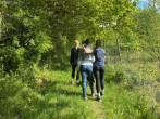 Signposted walks Signposted walks